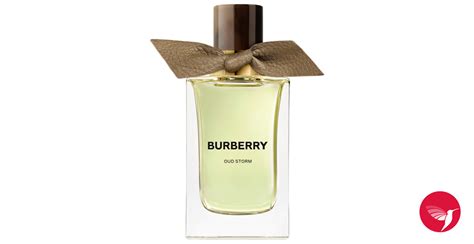 burberry unisex perfume.